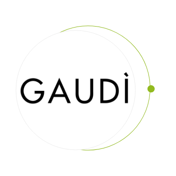 GAUDI